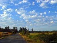 San Juan Islands - Fall