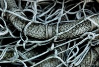 Fishing Nets