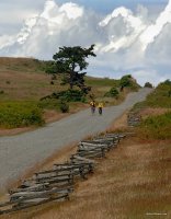 San Juan Islands - Fall