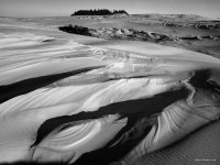 Oregon Dunes