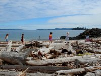 San Juan Islands - Summer