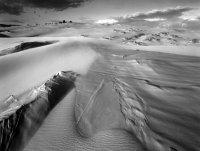 Oregon Dunes