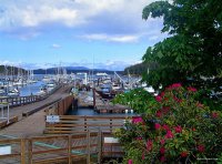 San Juan Islands - Spring