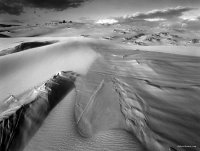 Oregon Dunes