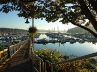 San Juan Islands - Summer
