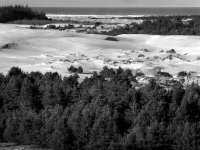 Oregon Dunes