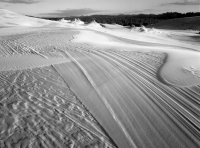 Oregon Dunes