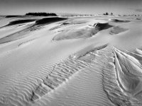 Oregon Dunes