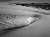 Oregon Dunes