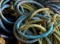 Fishing Nets
