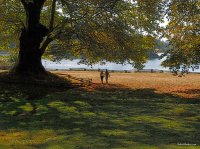 San Juan Islands - Fall