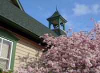 San Juan Islands - Spring