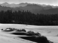 Oregon Dunes