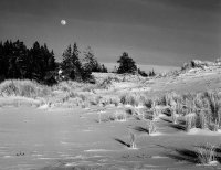 Oregon Dunes