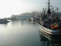 San Juan Islands - Fall