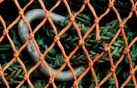 Fishing Nets