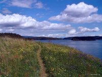 San Juan Islands - Spring