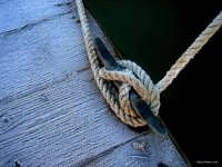 San Juan Islands - Fall