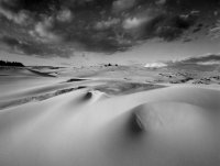 Oregon Dunes