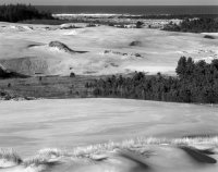 Oregon Dunes