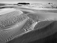 Oregon Dunes