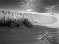 Oregon Dunes