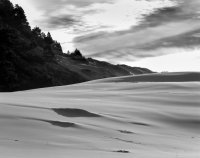 Oregon Dunes