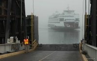 Ferry Boats