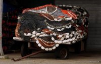 Fishing Nets